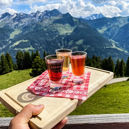 My Zillernest * 齐勒河谷采尔